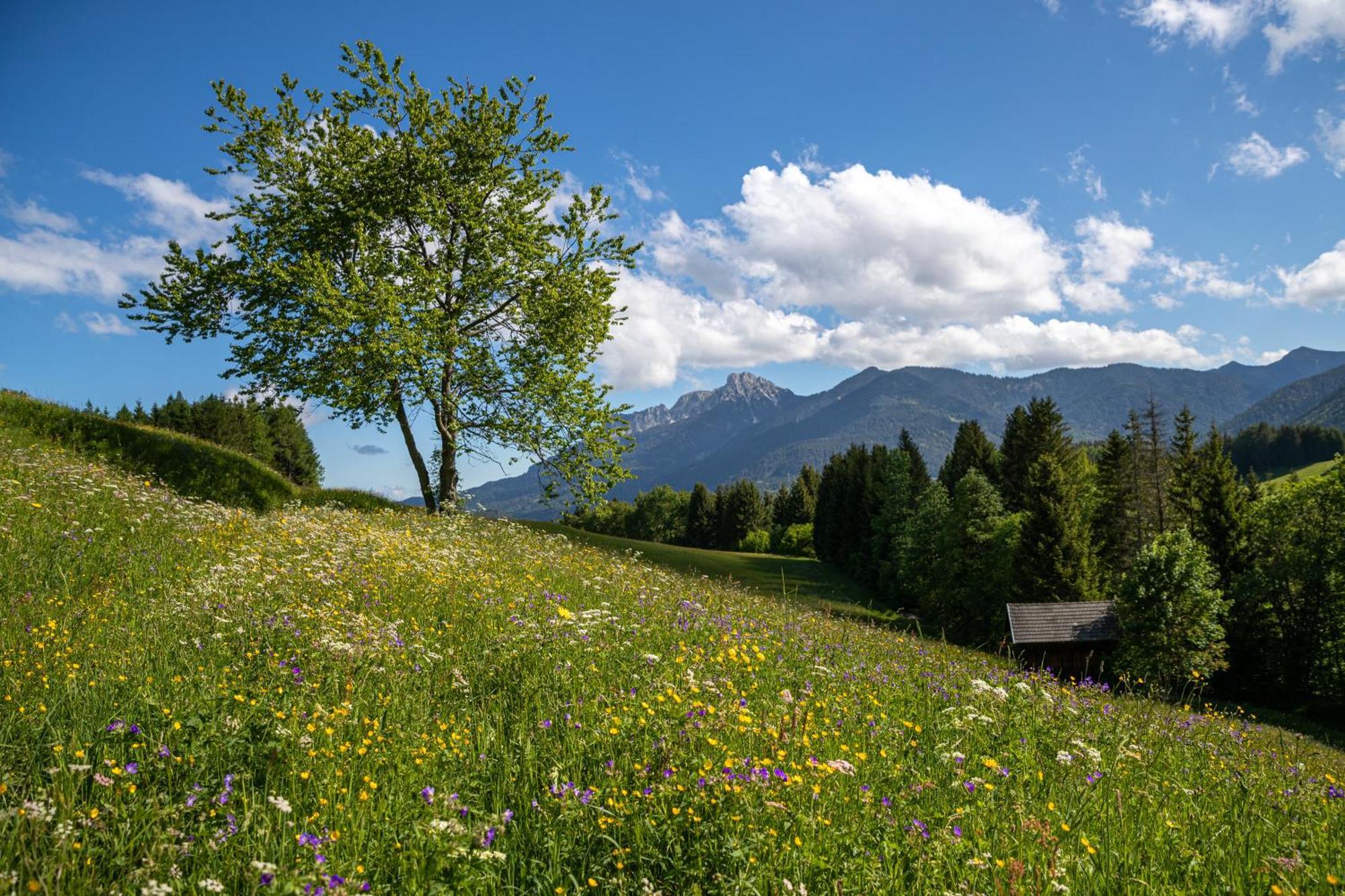 Hotel Krone Tirol 로이테 외부 사진